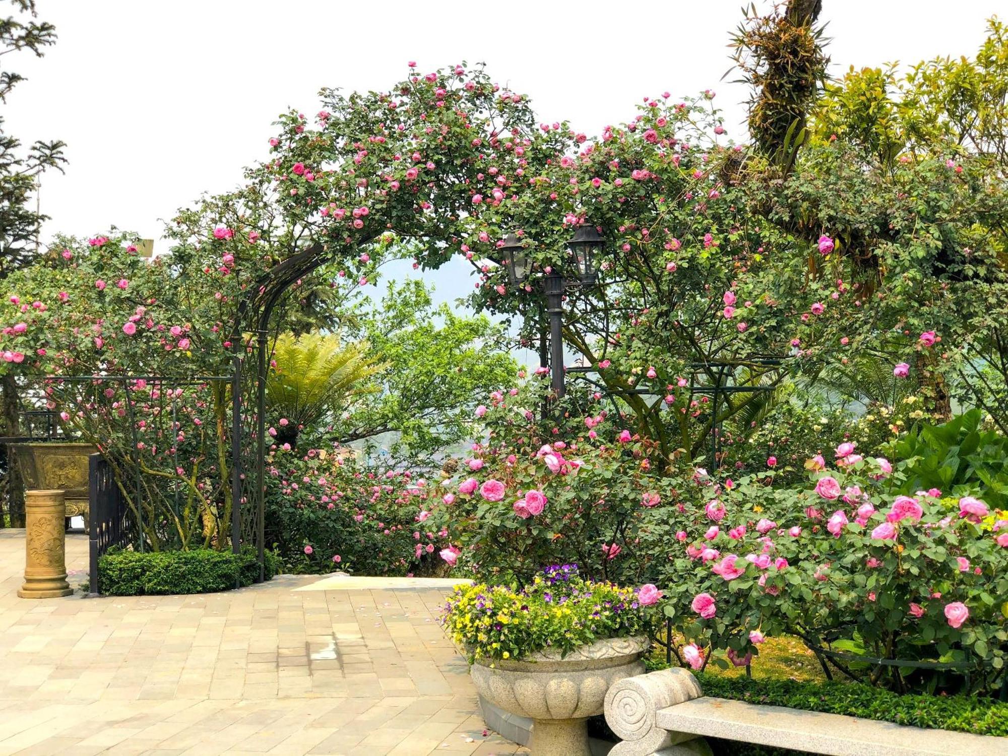 Silk Path Grand Sapa Resort & Spa Экстерьер фото Rose Garden